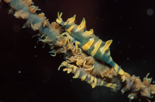 b0042837_18333149.jpg