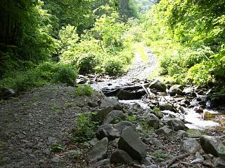 f0003138_7171659.jpg
