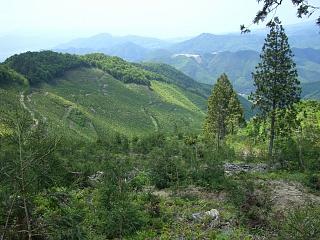 f0003138_7185767.jpg