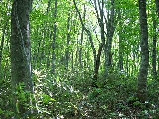 f0003138_7242539.jpg