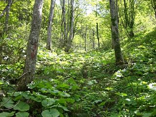 f0003138_7264057.jpg