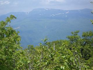 f0003138_7311651.jpg