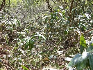 f0003138_742114.jpg