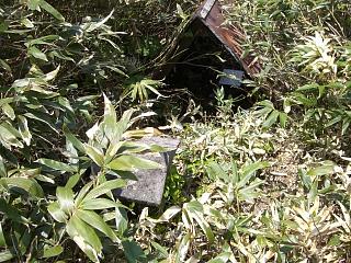 f0003138_7423895.jpg