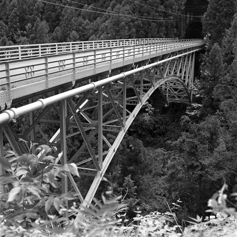 c0026142_17868.jpg
