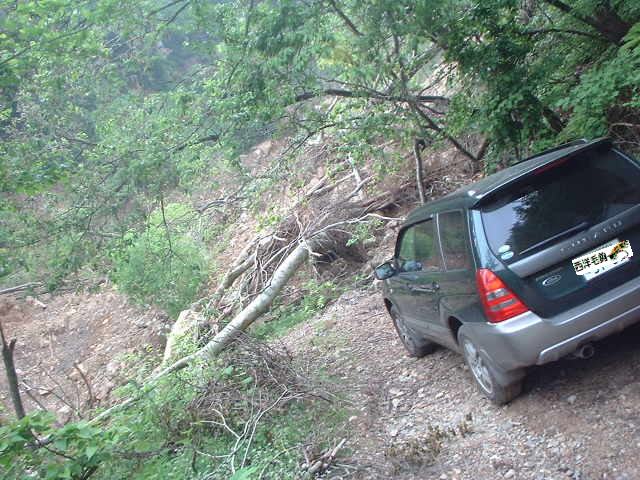 f0053342_2231193.jpg