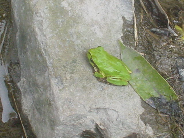 e0085543_15405641.jpg