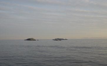 e0016845_3223027.jpg