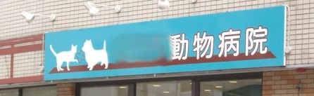 e0030663_071366.jpg