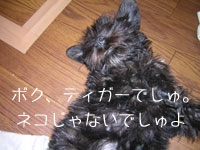 f0025769_19141649.jpg