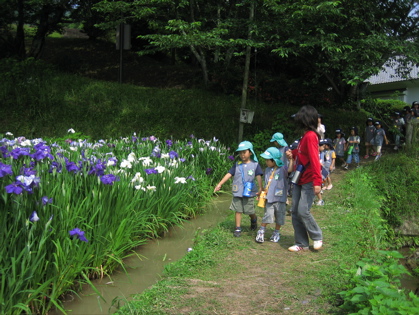 e0087681_2235018.jpg