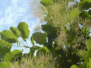 f0039281_20573750.jpg
