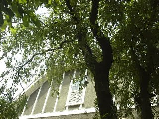 f0039281_2057386.jpg
