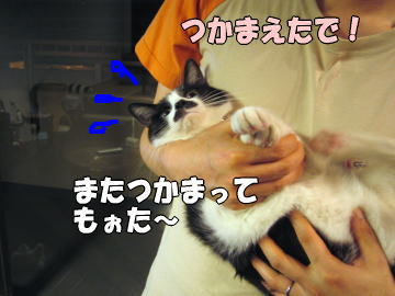 b0041182_18515867.jpg