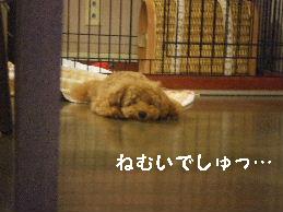 a0007906_10482062.jpg