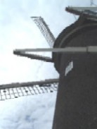 e0042906_29399.jpg