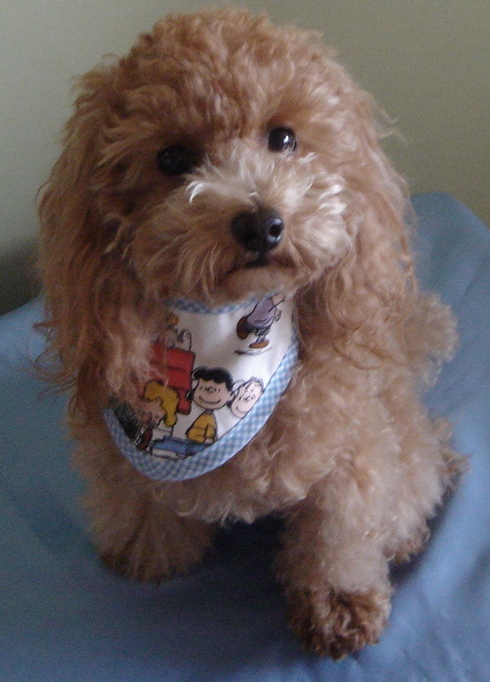 c0041207_1749863.jpg