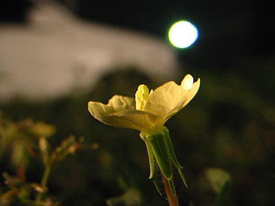 a0041508_2053637.jpg