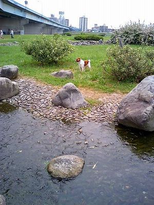 c0065512_2264951.jpg