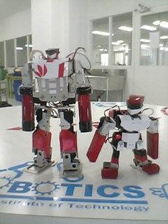c0073612_2312213.jpg