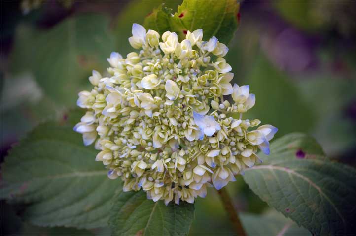 d0040314_2226598.jpg