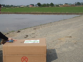 d0035420_0191396.jpg