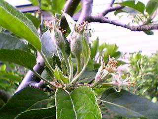 d0033422_211148100.jpg