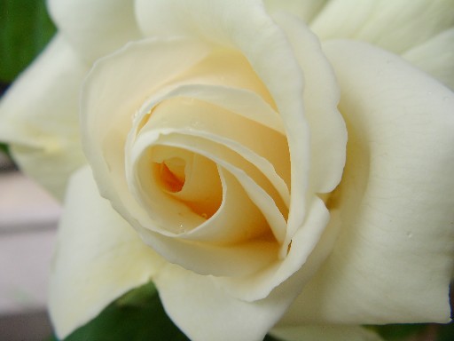 f0002833_23123656.jpg