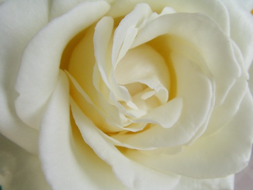 f0002833_23135556.jpg