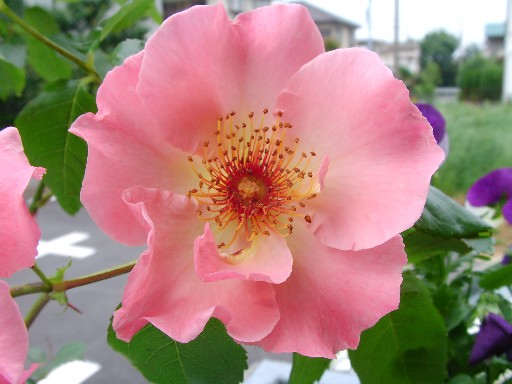 f0002833_23162748.jpg