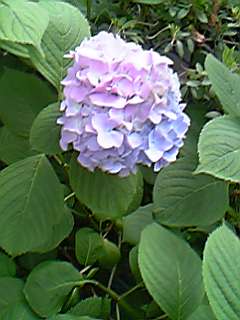 e0087443_22595611.jpg