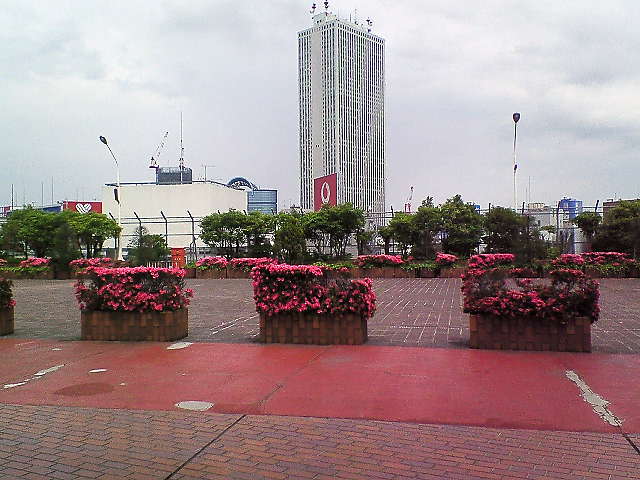 b0021251_1785238.jpg