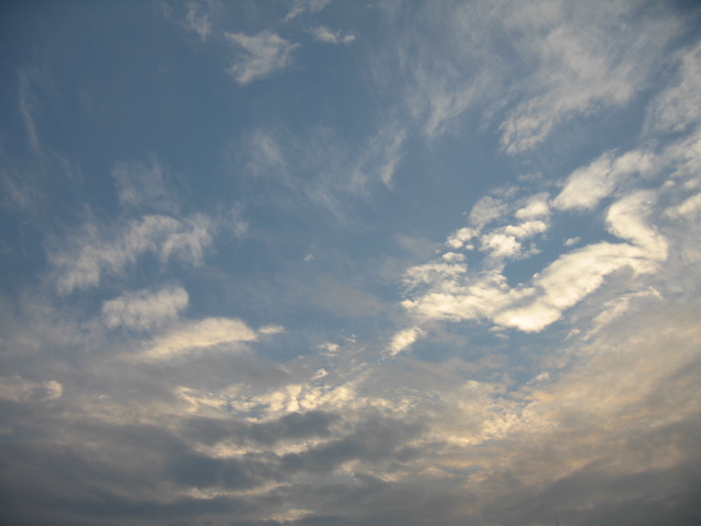 b0107769_1371256.jpg