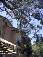 a0063472_8404939.jpg