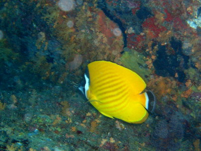 a0002177_23445827.jpg
