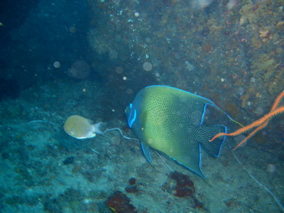 a0002177_2344911.jpg