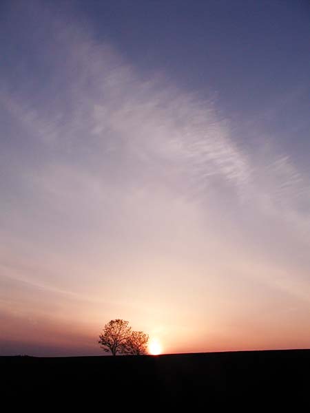 f0092382_1248681.jpg