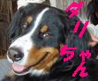b0090201_10503060.jpg