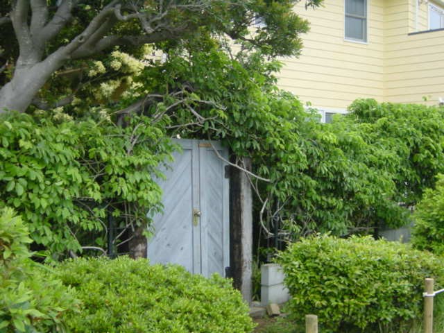 b0083902_12454226.jpg
