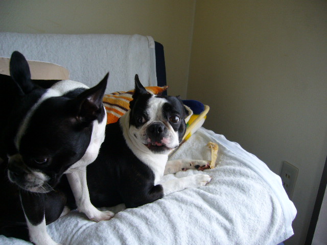 d0070702_6135177.jpg