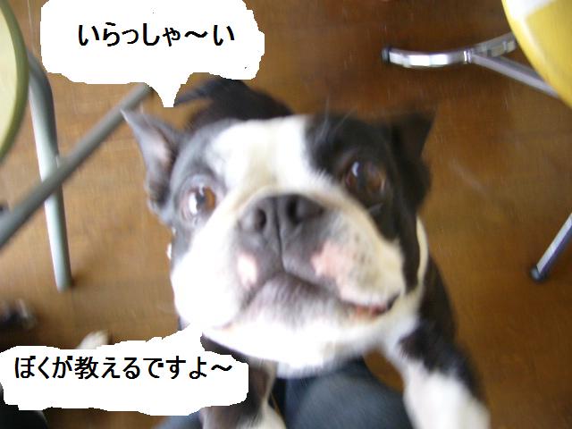 d0070702_65055.jpg