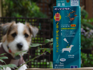 f0080105_1155212.jpg