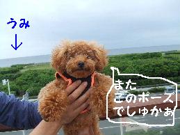 a0007906_23361555.jpg