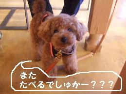a0007906_2349141.jpg