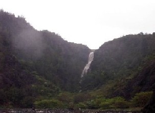 c0000816_22423031.jpg