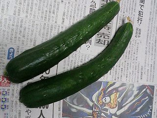 e0026017_1353249.jpg