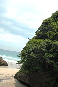 d0023725_1040276.jpg
