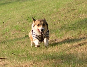 e0071225_1253651.jpg