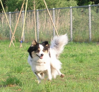 e0071225_133646.jpg