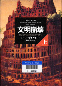 e0020945_163532.jpg